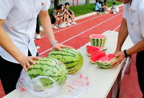 吃瓜比赛得奖,吃瓜比赛获奖者的荣耀瞬间