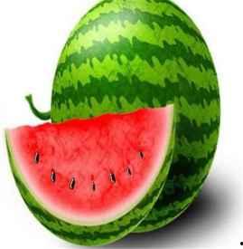 吃瓜的胖橙,揭秘娱乐圈的甜蜜与苦涩