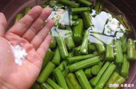 吃哈密瓜和苋菜会中毒吗,哈密瓜与苋菜同食中毒风险解析