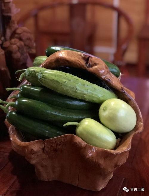 芜职最新吃瓜,最新吃瓜事件大揭秘