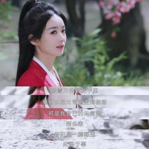 追剧式吃瓜,跟随剧情吃瓜，揭秘娱乐圈幕后风云