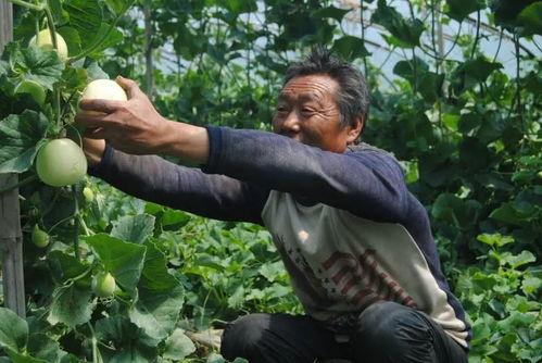 济宁吃瓜视频,一网打尽本地新鲜趣事