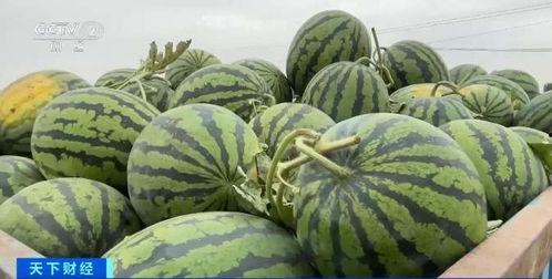 光芒吃瓜,揭秘娱乐圈幕后故事