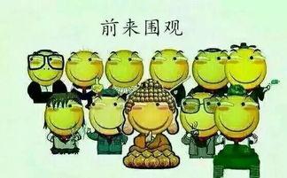 吃瓜群众411,一场全民参与的娱乐盛宴