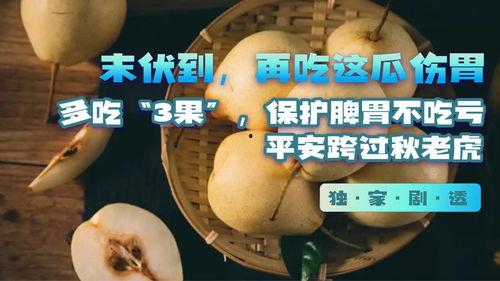 吃瓜伤自己,过度关注他人是非,竟伤及自身