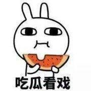 吃瓜专属表情,揭秘吃瓜专属表情背后的文化现象
